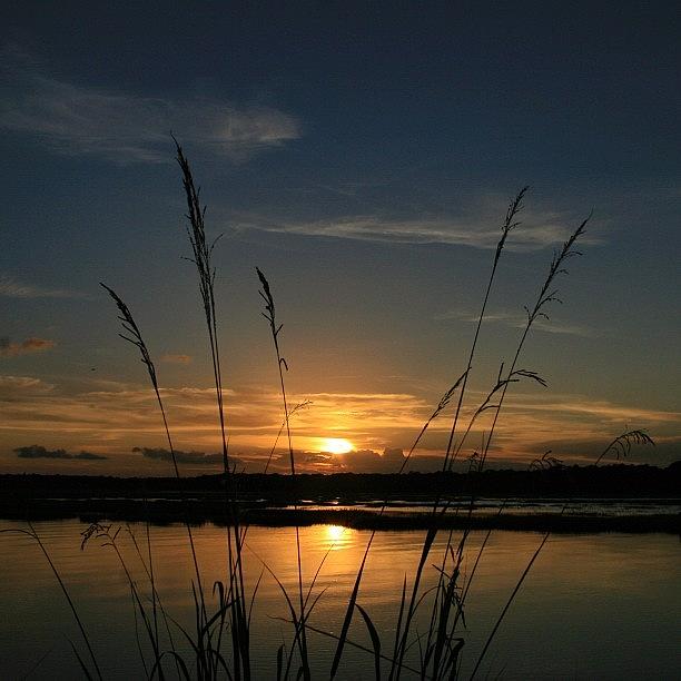 Nature Photograph - sunset Over The Marsh by Tony Delsignore
