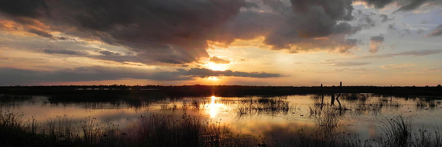 Sunset over Wetlands Panorama Photograph by Frances Miller