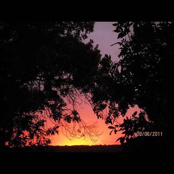 Sunset Photograph - Sunset by Patsy Smith