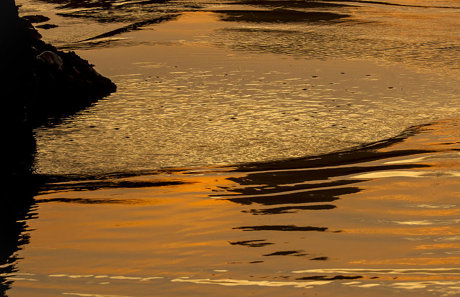 Sunset Reflected. Photograph by Jean Noren