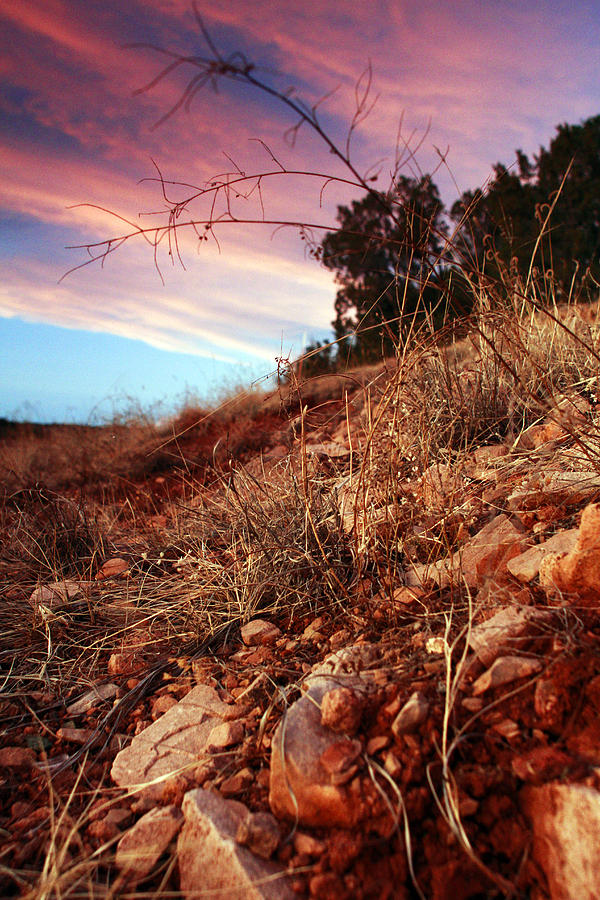Sunset Rock Photograph by Chris Multop