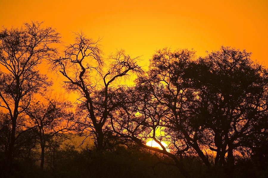 Sunset, Sabi Sand Reserve, Mpumalanga Photograph by Stuart Westmorland ...