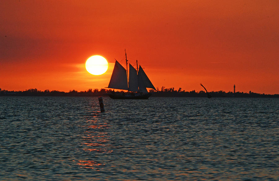 Sunset Sail Photograph by Melanie Moraga