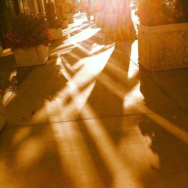 Sunset Sidewalk Shadows Photograph by Debi Del Grande
