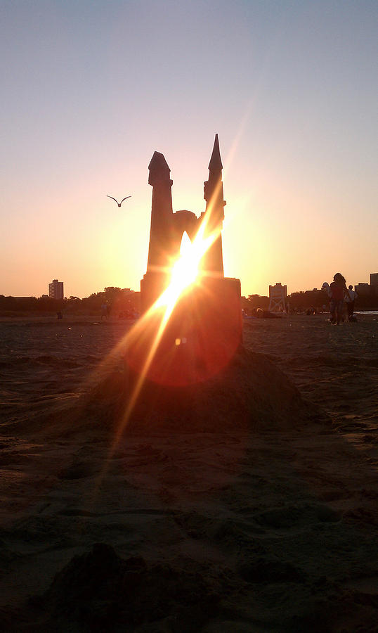 Sunset Sunlit Sandcastle with Flying Bird on a Chicago Beach Photograph by M Zimmerman
