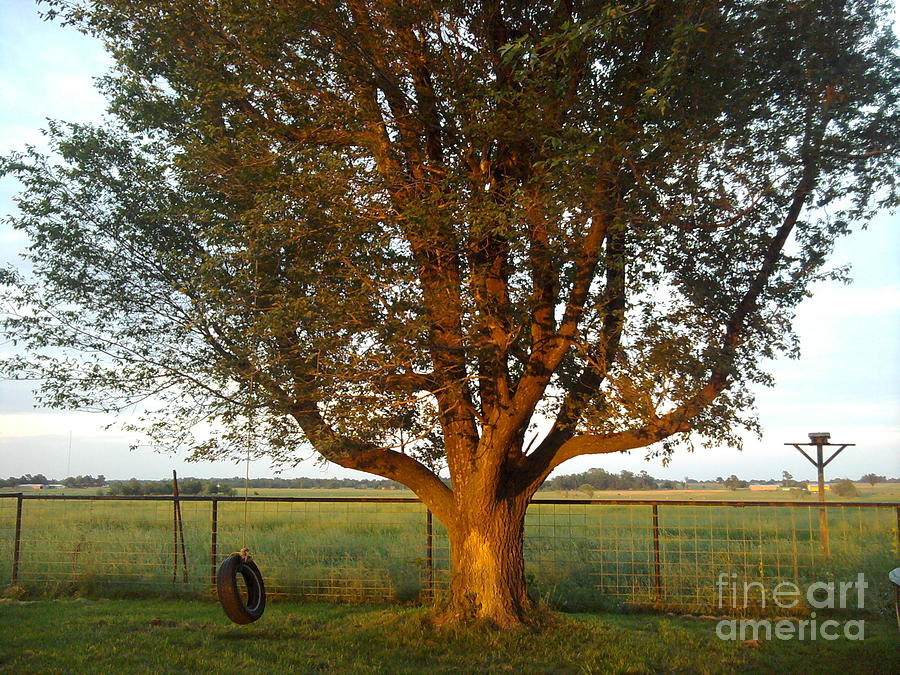 Tree Photograph - Sunset Tire Swing by Sheri Simmons