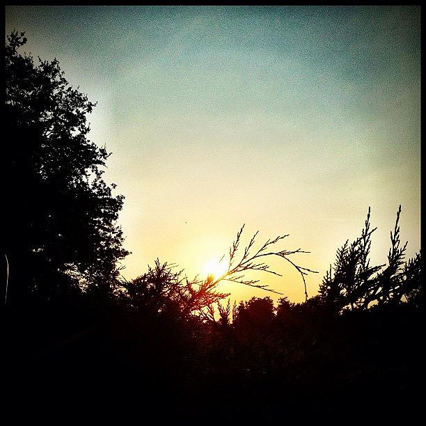 Nature Photograph - Sunset Today After A Great Poolparty...! by Chrit Werdmolder Smeets