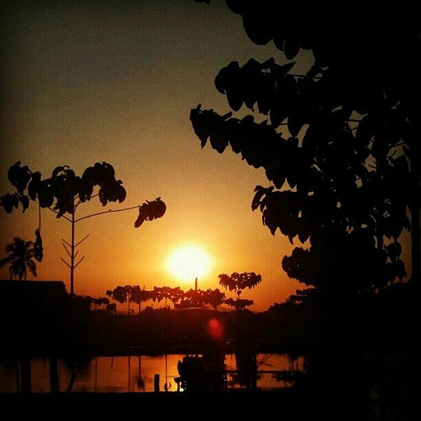 Tree Photograph - #sunset #trees #lake  #indonesia by Inas Shakira