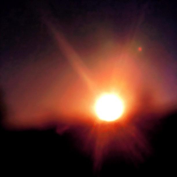 Sunset Photograph - Sunset Trough My Macro Lense by Melanie Stork