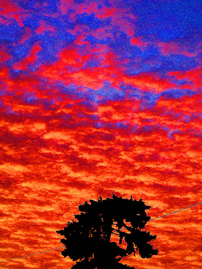 Sunset with Pine Tree 2 PD 2  Photograph by Lyle Crump