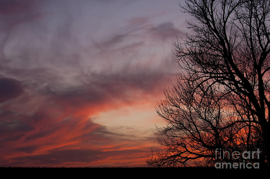 Sunset with trees Photograph by Art Whitton