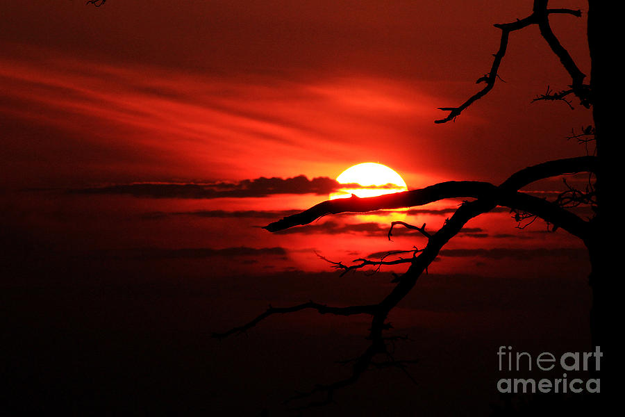 Red Skies Photograph - Sunset Zen by Ola Allen