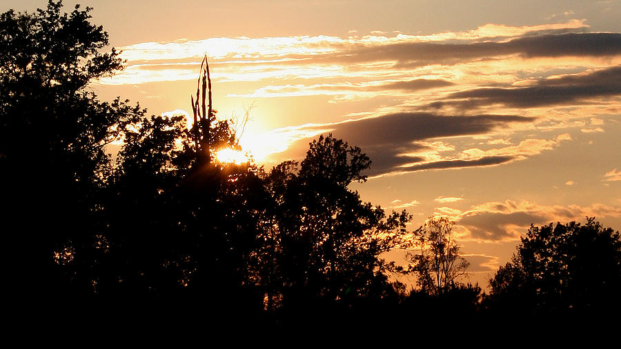 Sunset2 Photograph by Karen Harrison Brown