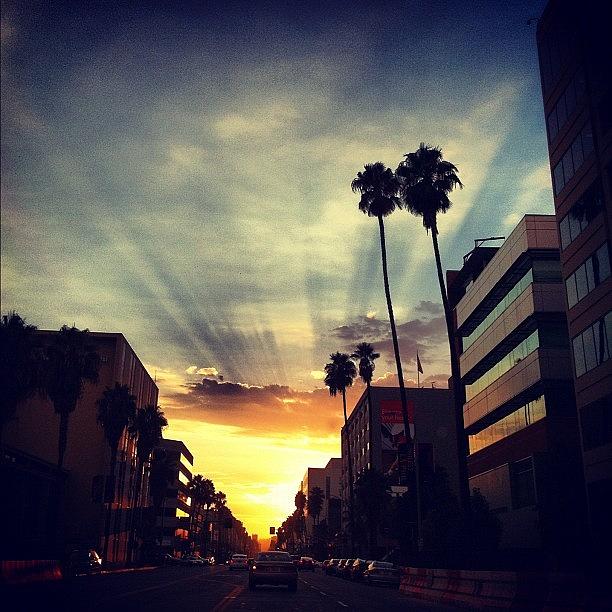 Sunset Photograph - #sunsetblvd by Shelley Randles