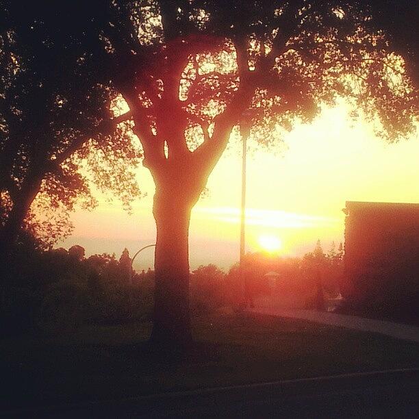 Sunset Photograph - #sunsets #csueb I Love The View From by Amy Marie La Faille