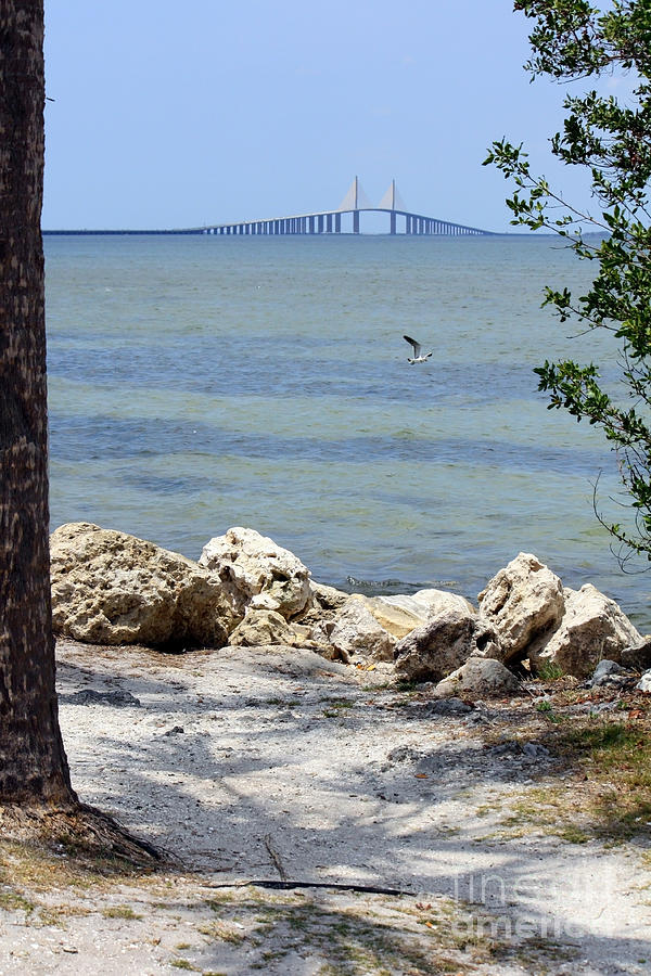 Sunshine Skyway from the Causeway Photograph by Carol Groenen