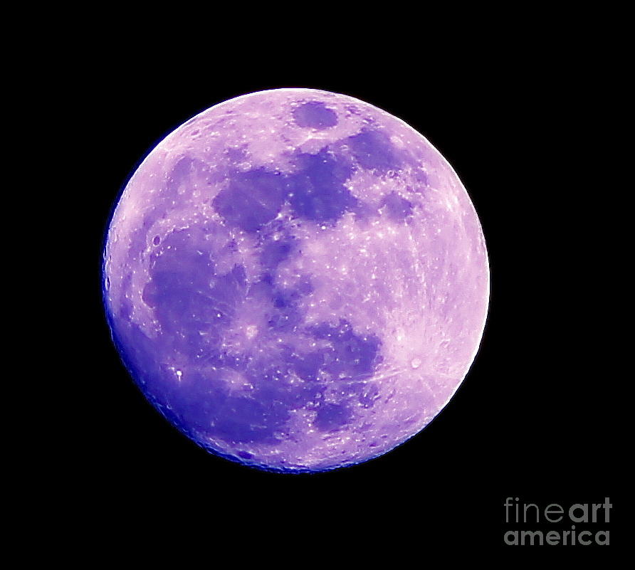 Super Moon 4 Photograph by Pamela Walrath