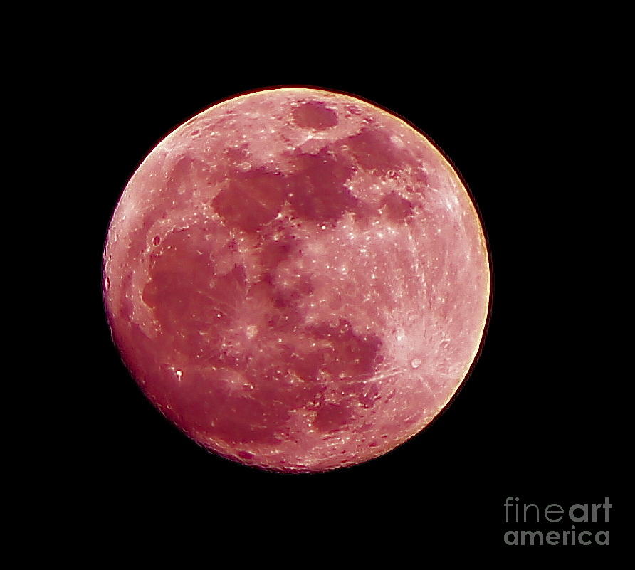 Super Moon in Red Photograph by Pamela Walrath