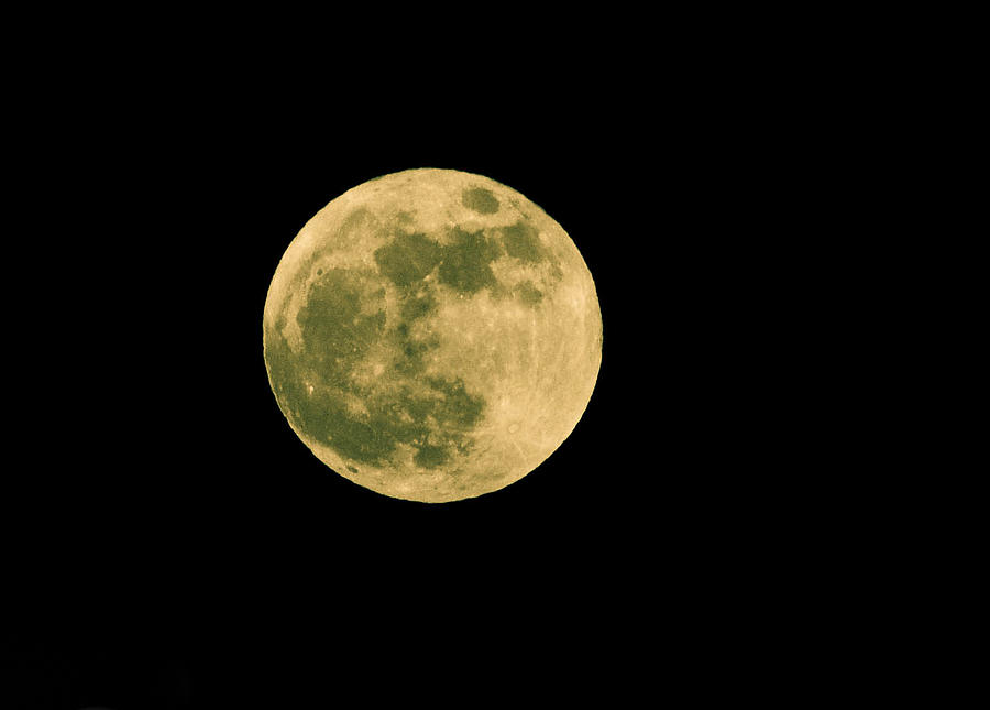 Super Moon over Kingston Washington Photograph by Ronda Broatch