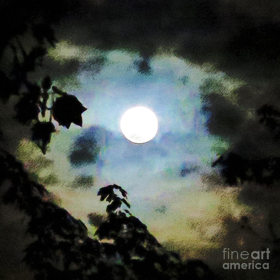 Super Moon Photograph by Patricia Januszkiewicz
