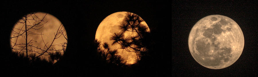 Super Moon Photograph by Rachel Bochnia