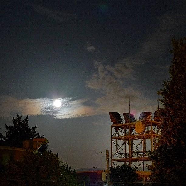Seattle Photograph - Super Moon by T Catonpremise