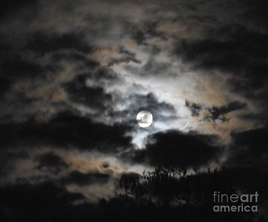 Super Moon Version Three Photograph by Christine Perry