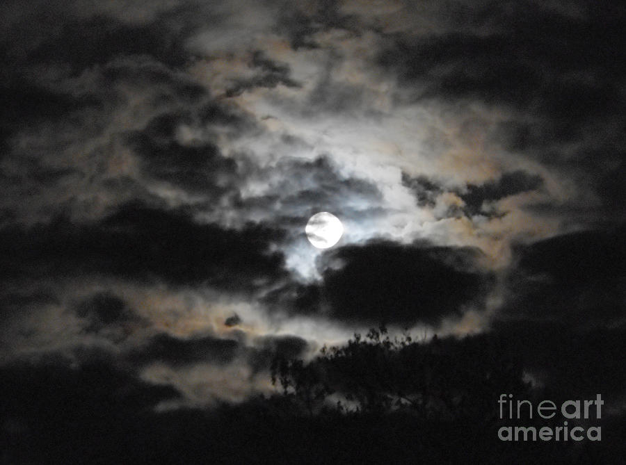Super Moon Version Two Photograph by Christine Perry