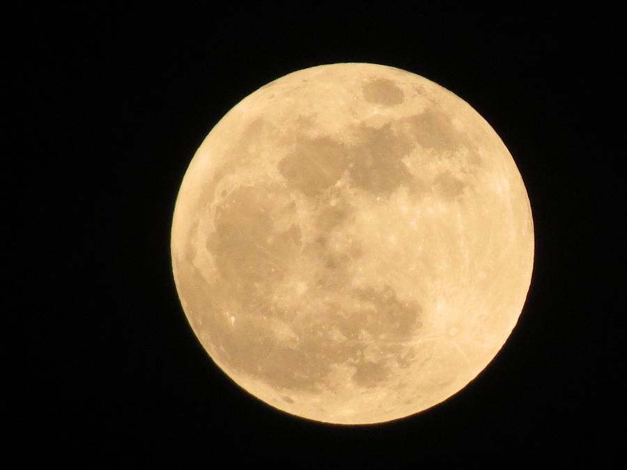 Super Moon Photograph by Vijay Sharon Govender