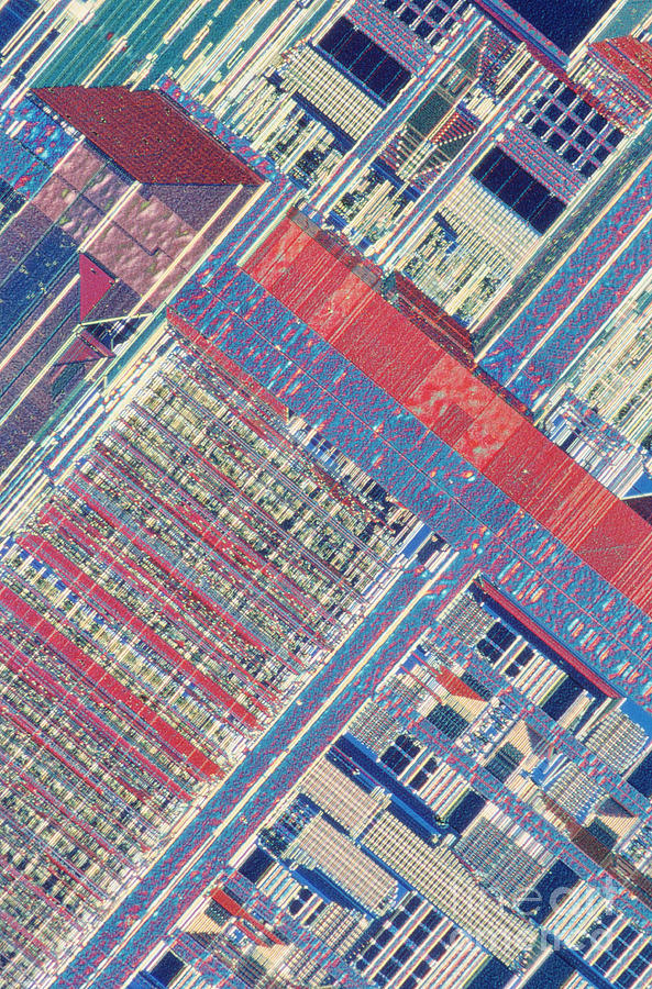 Surface Of Integrated Chip Photograph by Michael W. Davidson
