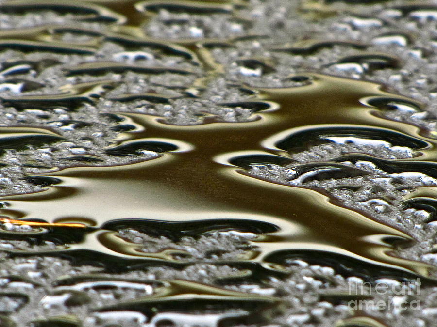 Abstract Photograph - Surface tension by Sean Griffin