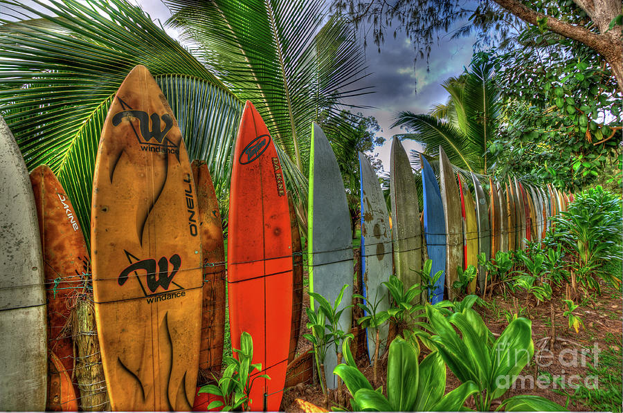 SUrfboard Wall Photograph by Steve Nelson