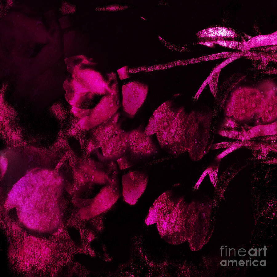 Surreal Abstract Dark Rose Impressionistic Tulips Photograph by Kathy Fornal