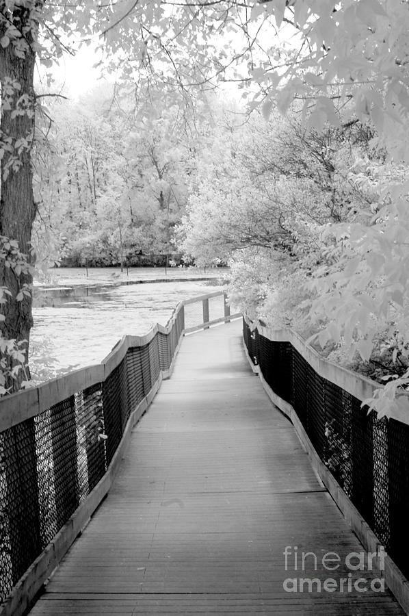 Infrared Photograph - Infrared Surreal Black White Infrared Bridge Walk by Kathy Fornal