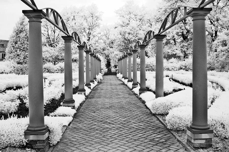 Surreal Cranbrook Estates - Michigan Garden Photograph by Kathy Fornal