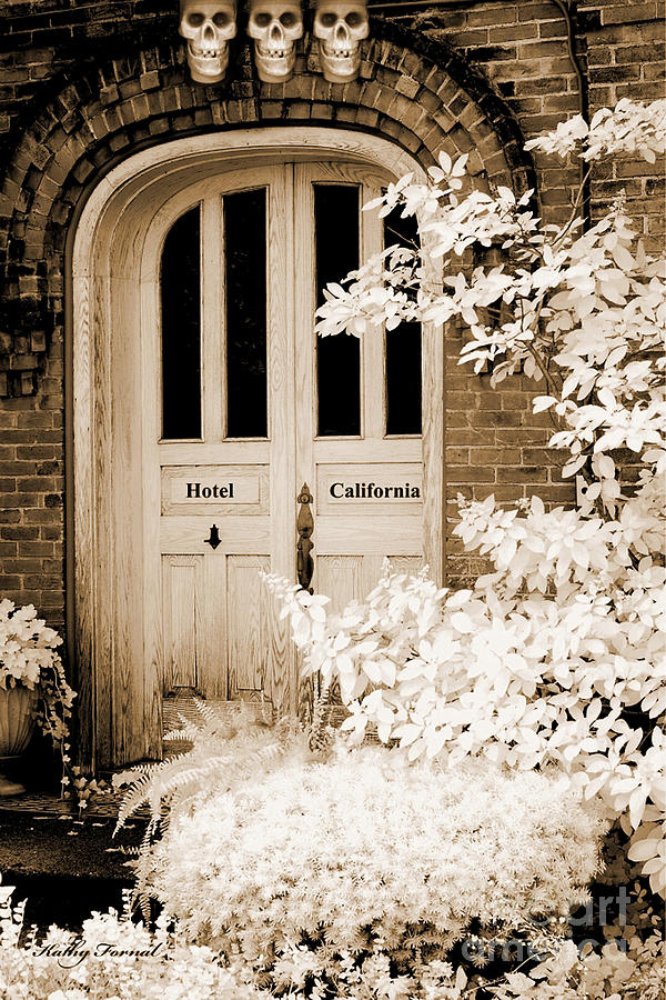 White Door Photograph - Surreal Gothic Infrared Skulls Over Door by Kathy Fornal