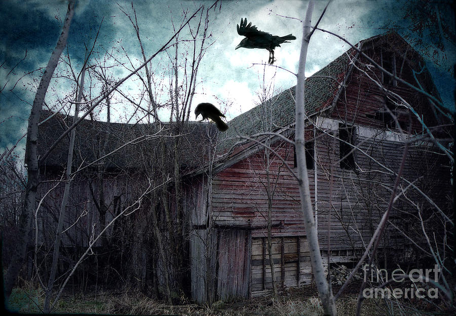 Surreal Gothic Old Barn With Ravens Crows  Photograph by Kathy Fornal