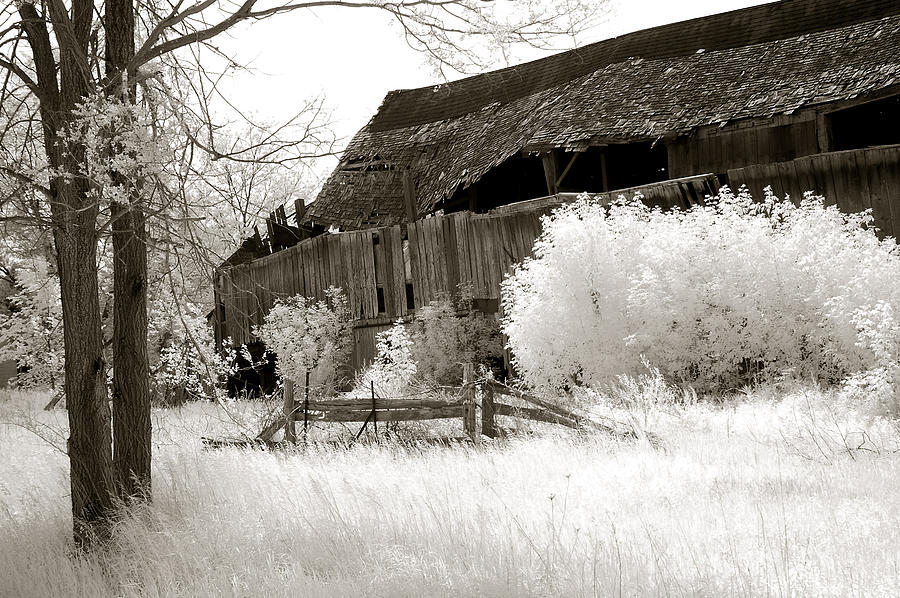 Surreal Infrared Sepia Michigan Barn Nature Scene Photograph by Kathy Fornal