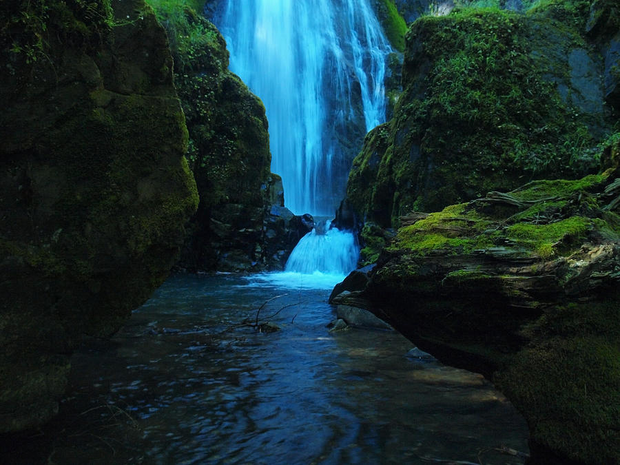 Susan Creek Falls Photograph by Teri Schuster