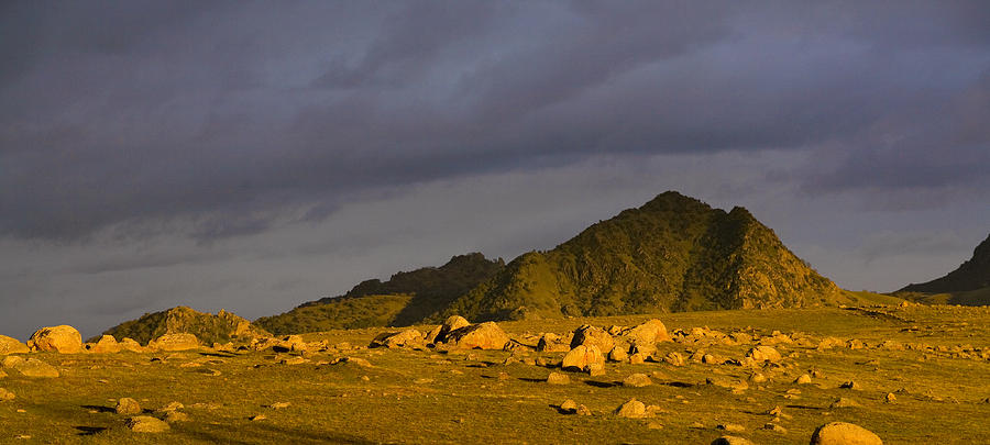 Sutter Buttes 2 Photograph by Mark Greenberg