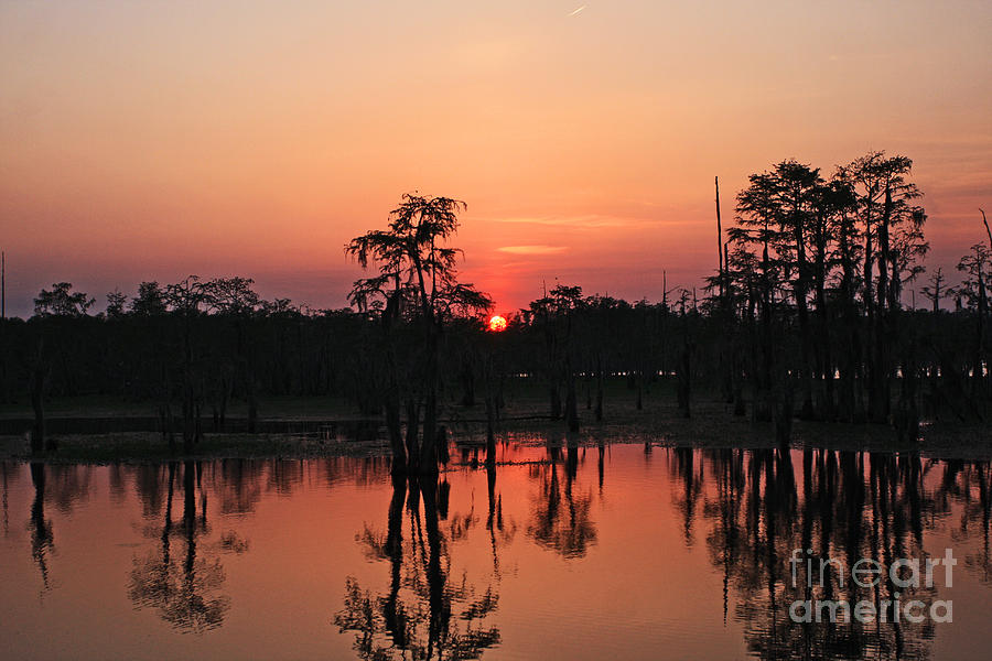 Swamp Sunset Photograph by Luana K Perez