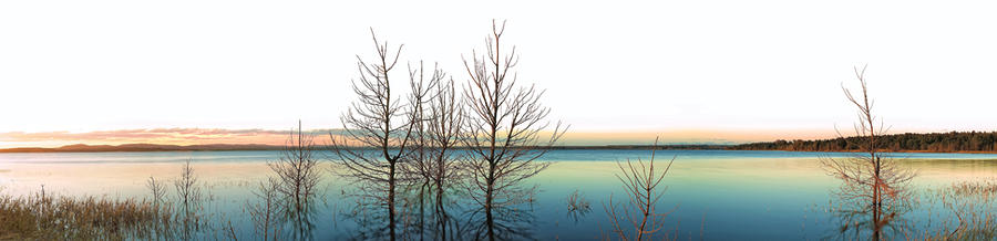 Winter Photograph - Swan Bay by Tim Poulton
