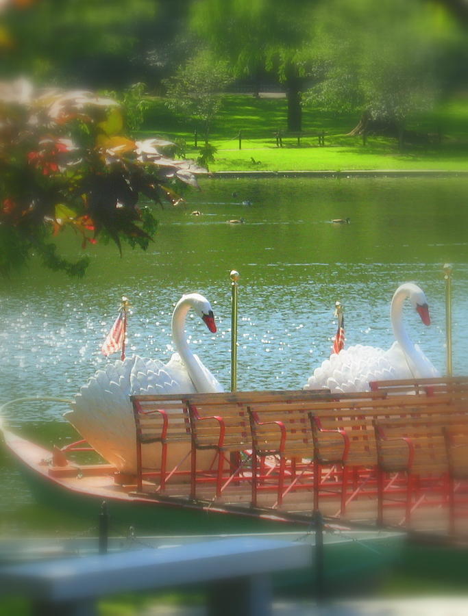 Swan Boat Photograph by Bruce Carpenter