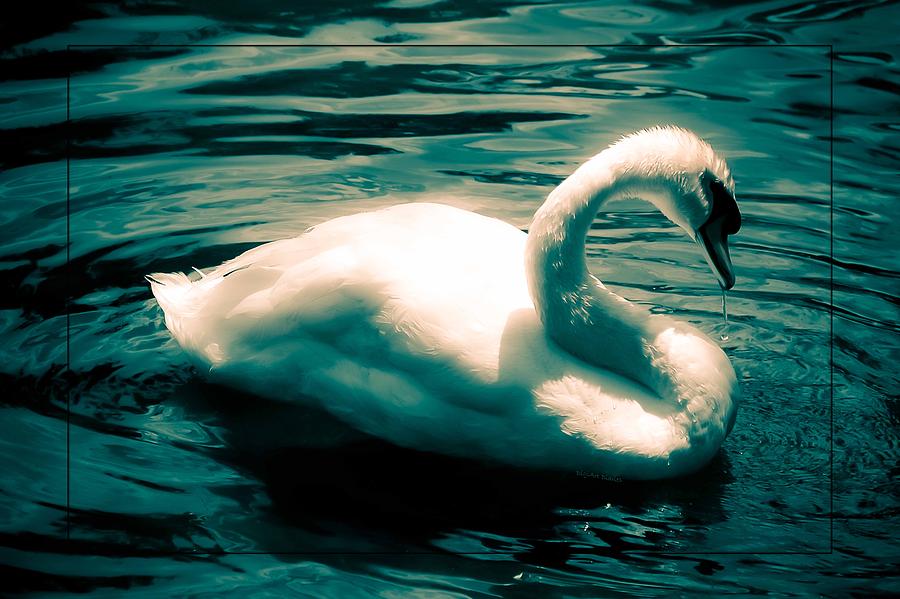 Swan in Teal Satin Waters Photograph by DigiArt Diaries by Vicky B Fuller