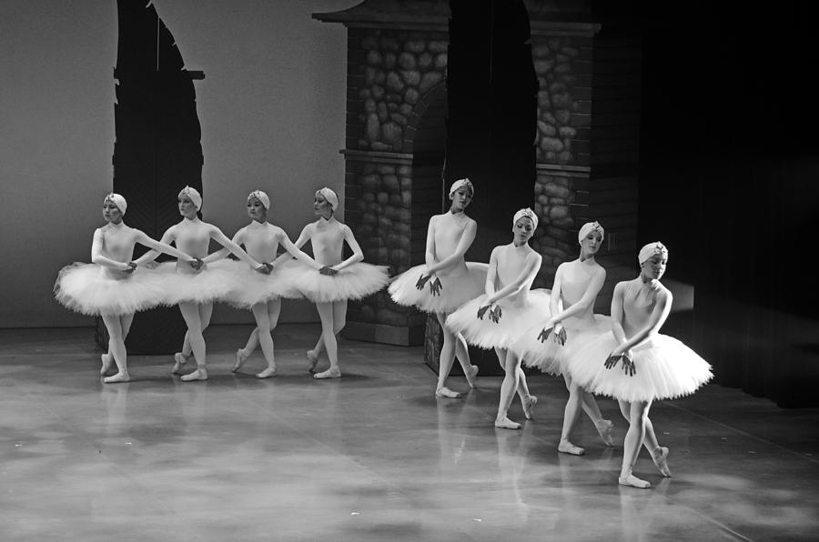 Swan Lake Ballet Photograph - Swan Lake 6 by Cheryl Cencich