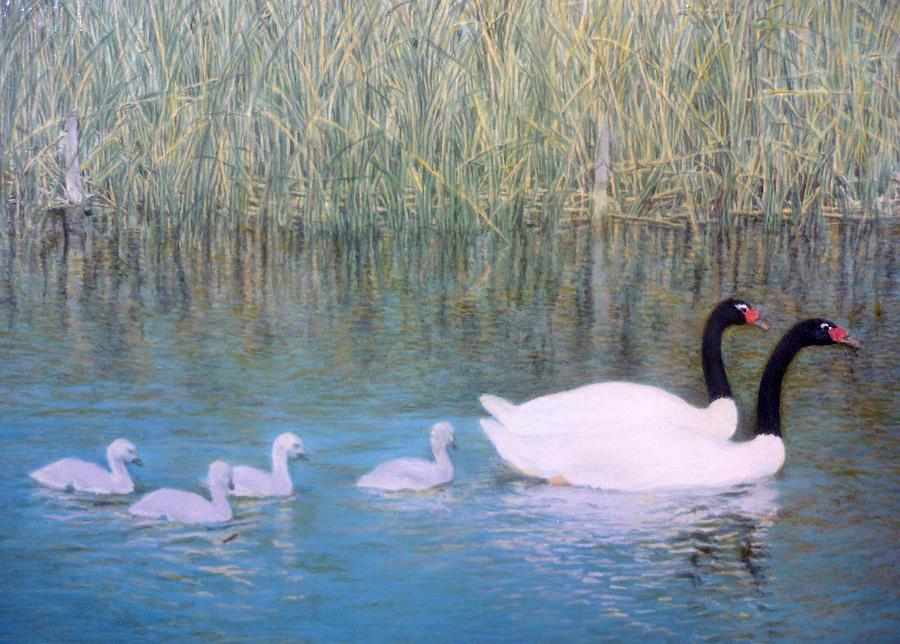 Swan Lake Painting by Ronald Osborne