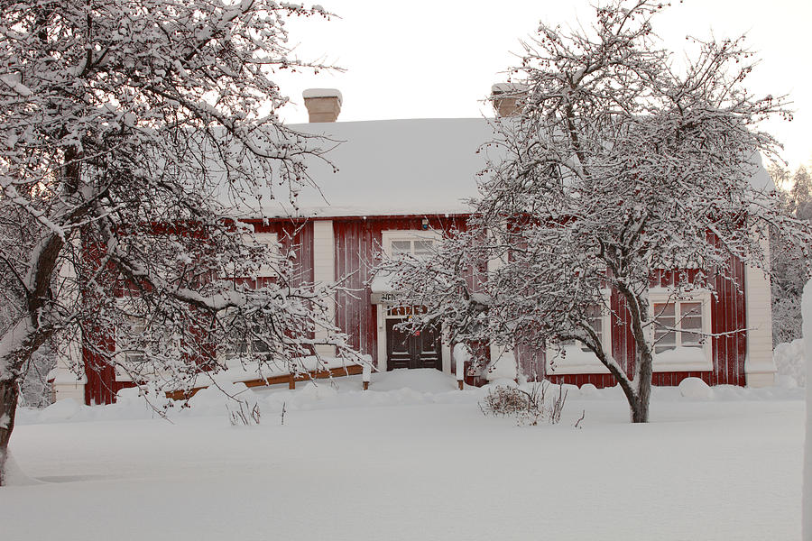 Swedish farm house in winter Photograph by Ulrich Kunst And Bettina Scheidulin