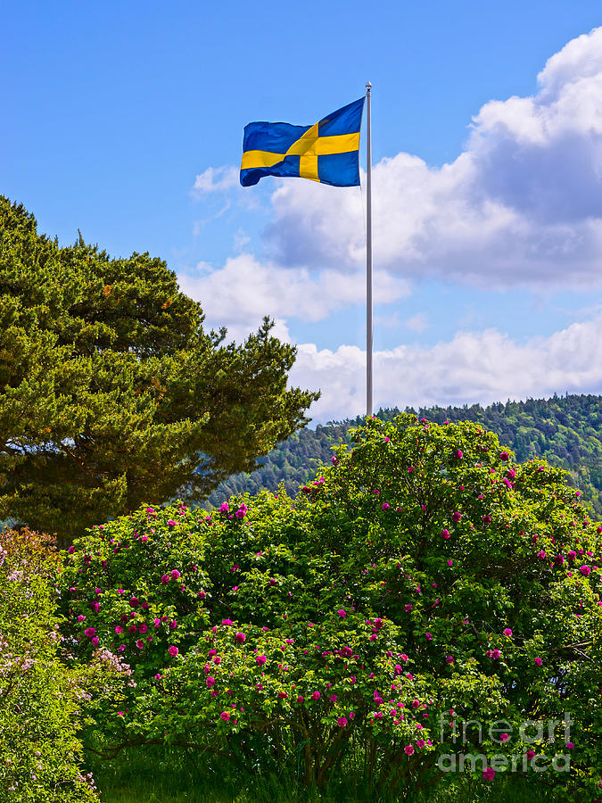 Swedish National Day Photograph by Lutz Baar