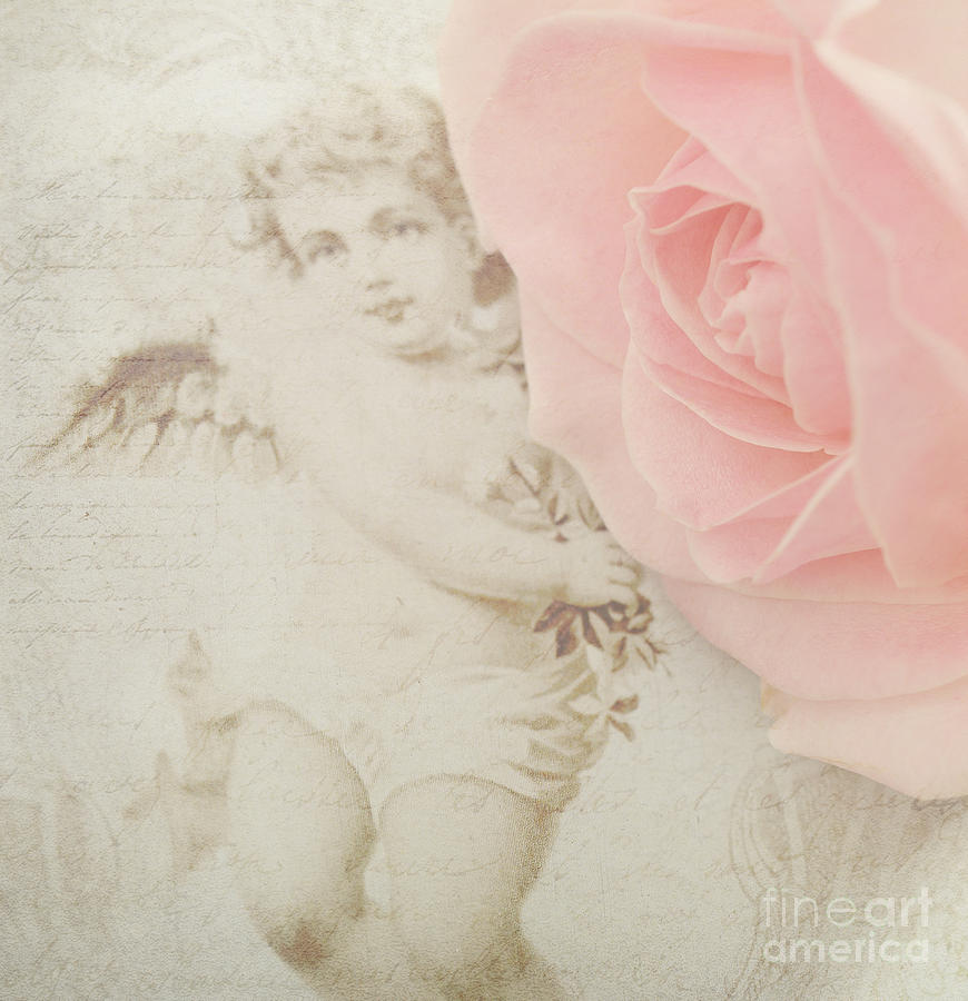 Rose Photograph - Sweet Angel by LHJB Photography