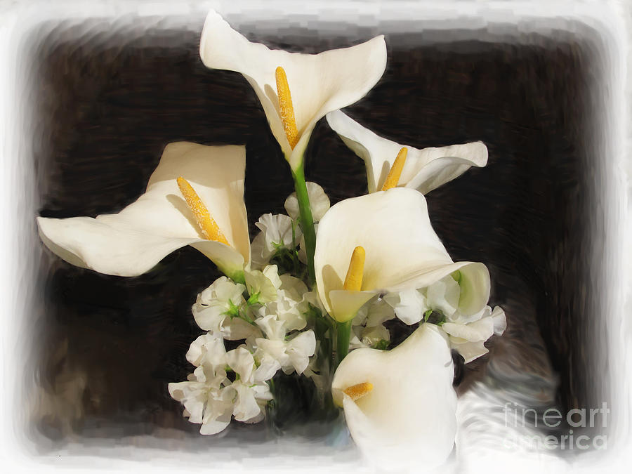 Sweet Calla Lilies Digital Art by L J Oakes